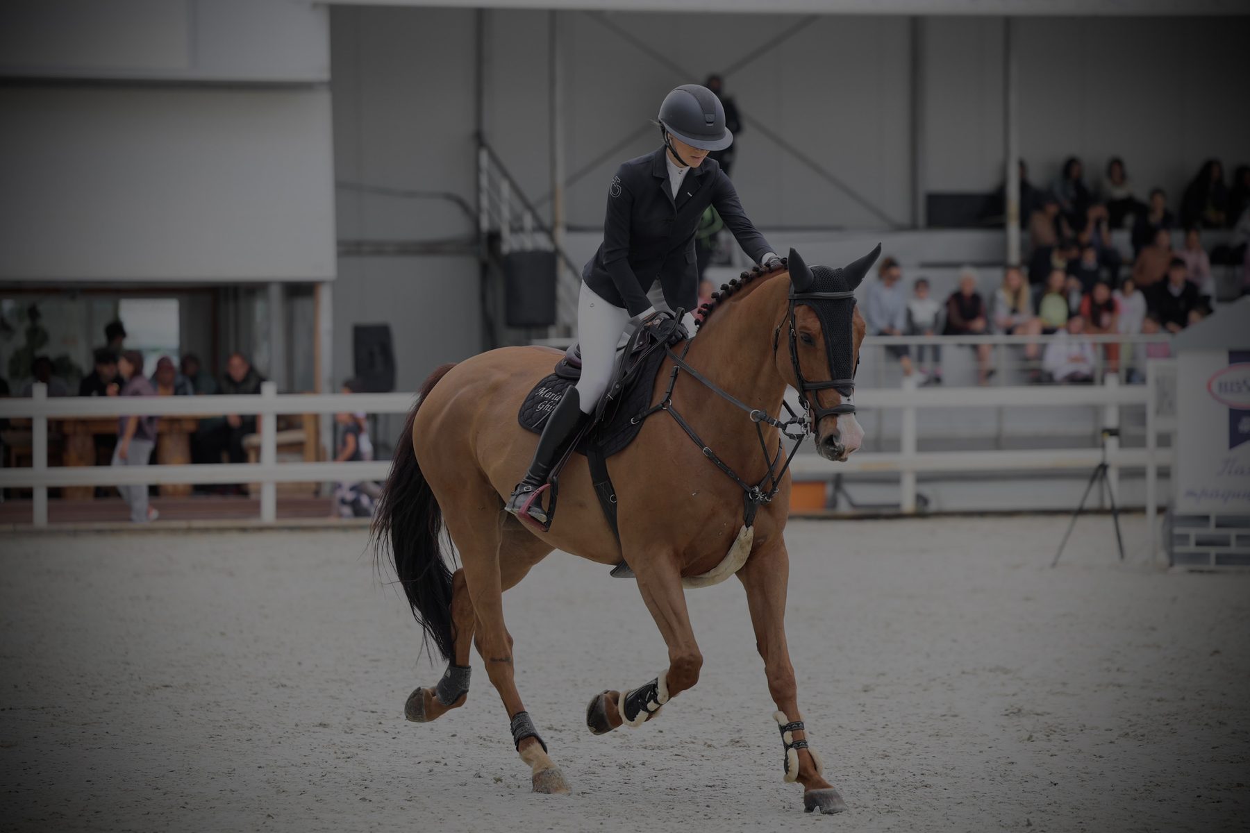 Maria and Lord Leo in the arena