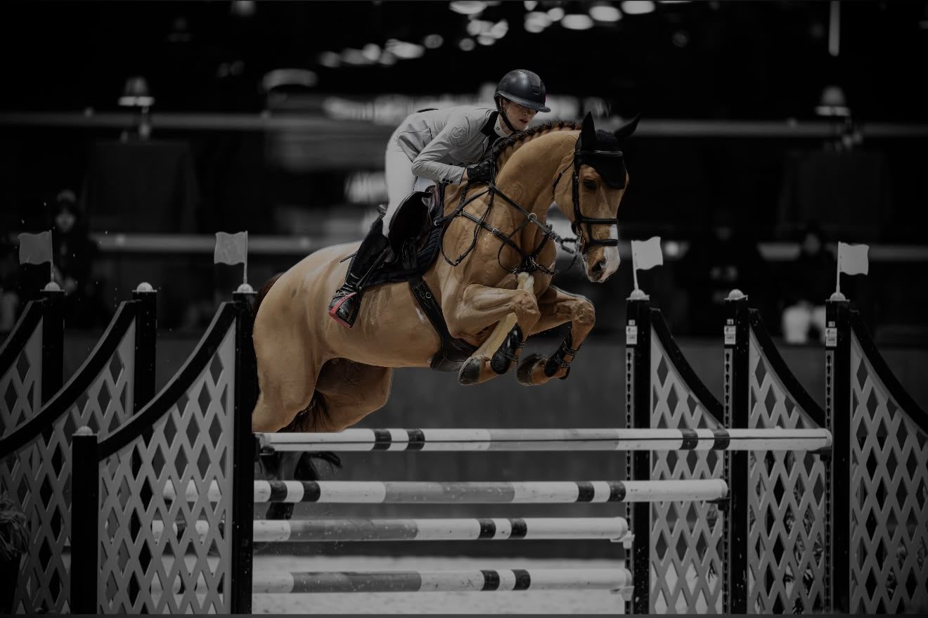 Maria and Lord Leo jumping indoors