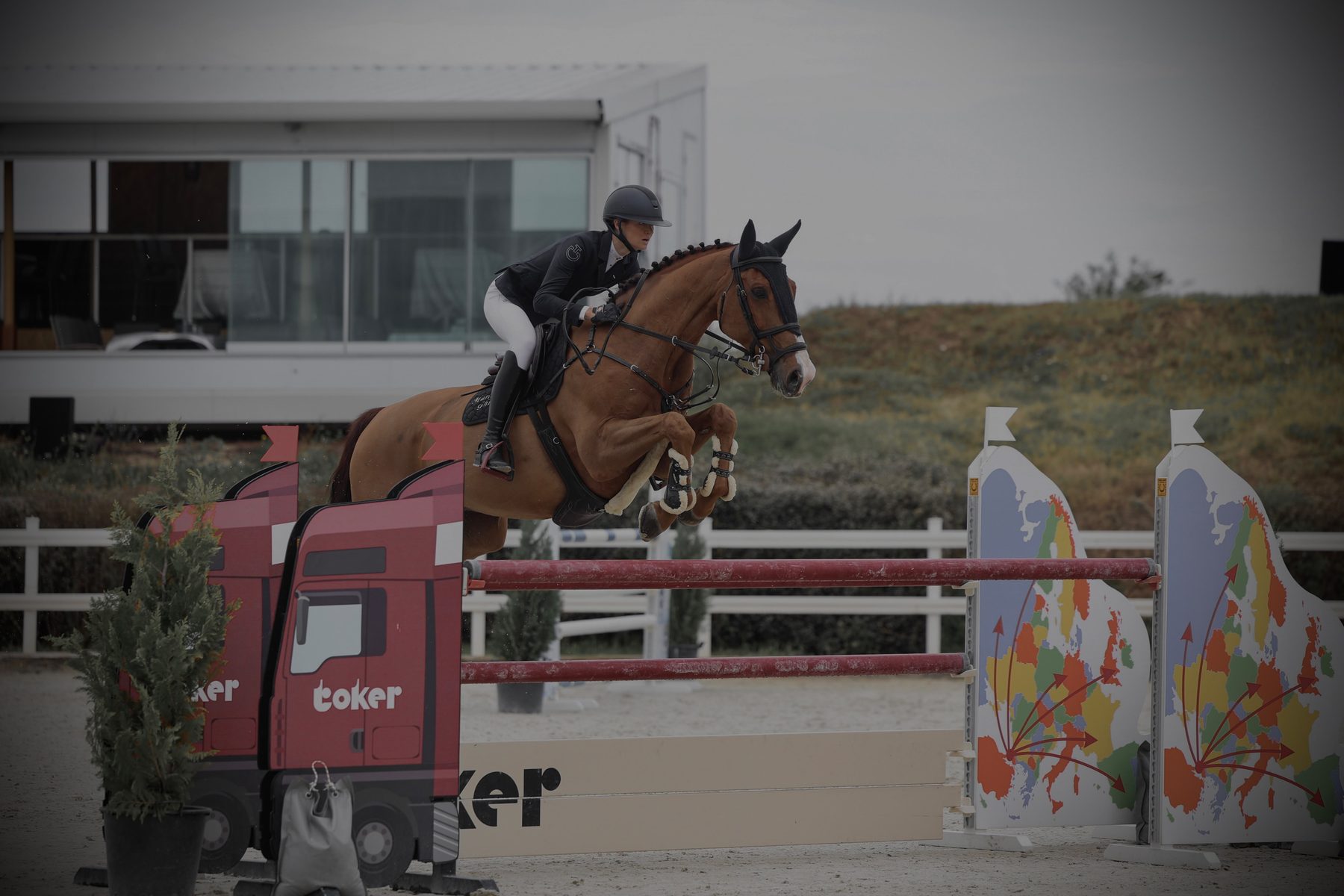 Maria and Lord Leo jumping